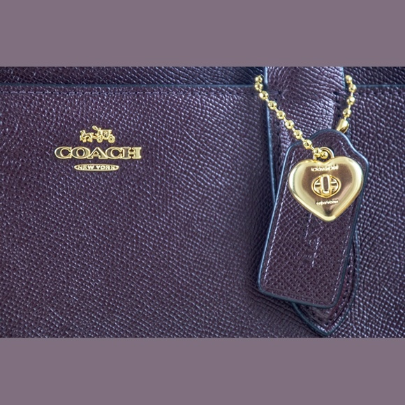 Coach Bailey Large Carryall Tote and Wallet - Picture 4 of 7